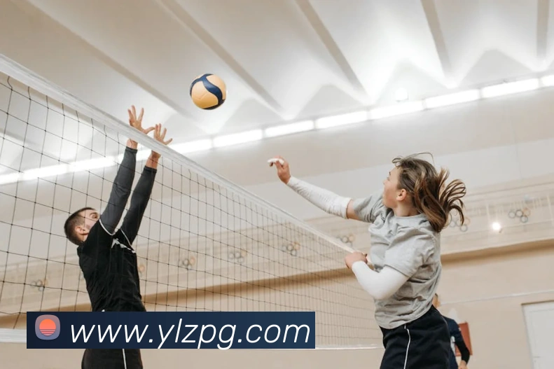 App Interface Preview